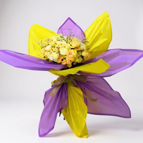 النجم الرائع