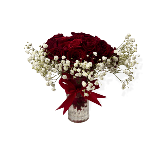 فازة جوري الحمراء