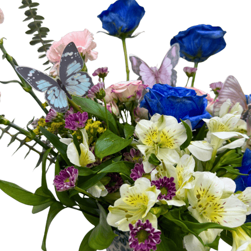 الفراشة الزرقاء