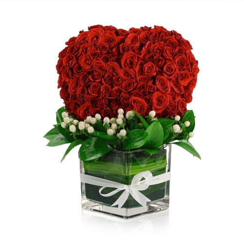 فازة القلب الأحمر