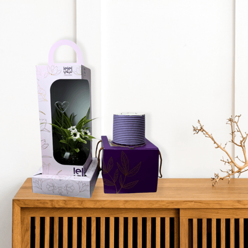 سبايدر الاخضر