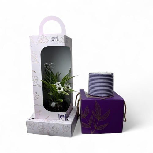 سبايدر الاخضر