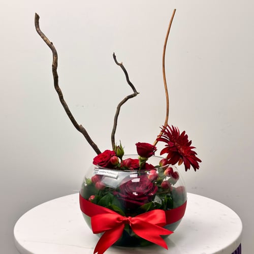 فازة انجليكا