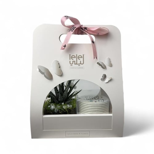 باقة صبار المكتب