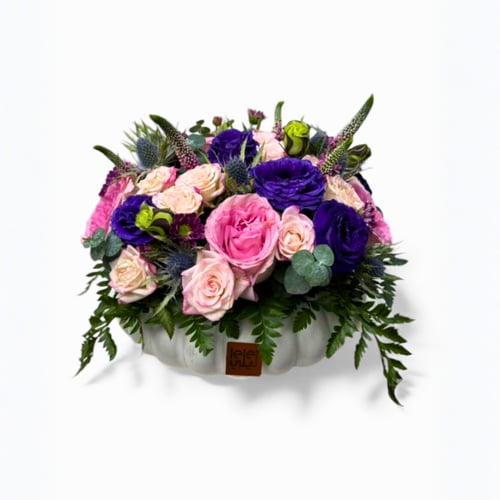 فازة اندرومينيا