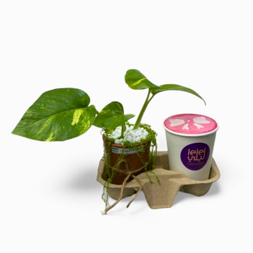 اهداء المكتب