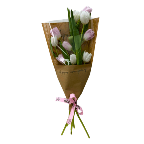 اناقة توليب