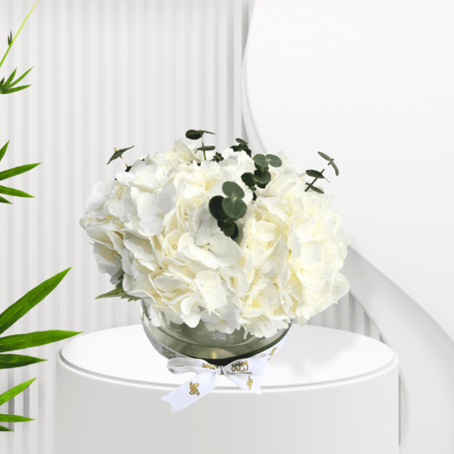 فازة الفرح كايندر