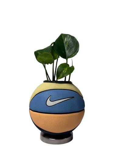 نايك كرة سله