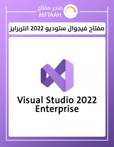 فيجوال ستوديو 2022 انتربرايز