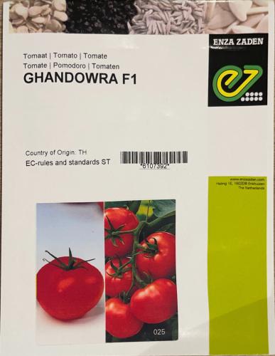 طماطم غندوره