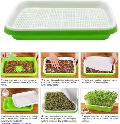 صينيه الزراعة المائية