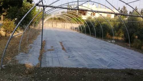 بلاستيك تعقيم 9*56 m