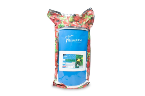 مصائد لاصقة زرقاء مقاس 100م-30 سم