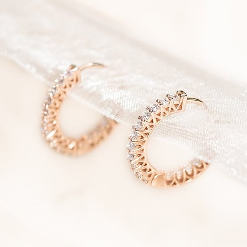 حلق ذا ايفي - The Ivy