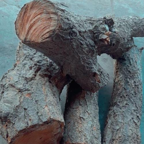 حطب الهيكوري 40كيلو عبوة اقتصادية