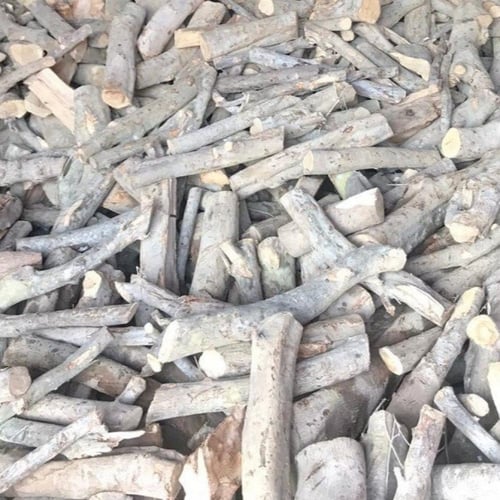 حطب الزيتون 10كيلو