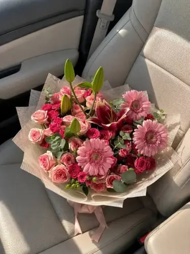 رايقه