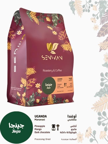 بونو + جينجا + سانتي مجاناً