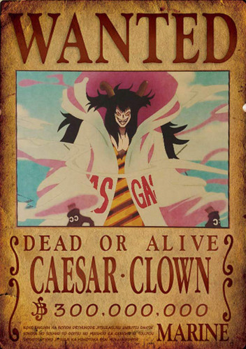 WANTED - A4 (11)
