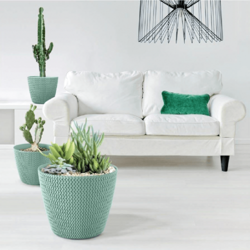 وعاء نباتي سبليوفي مستدير