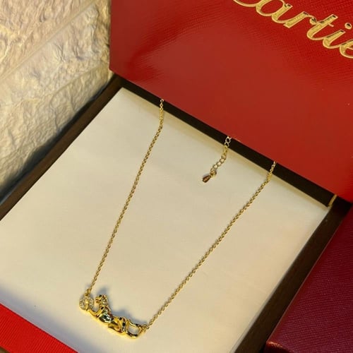 سلسال كارتير تايقر