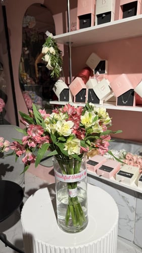 فازة ستروميريا