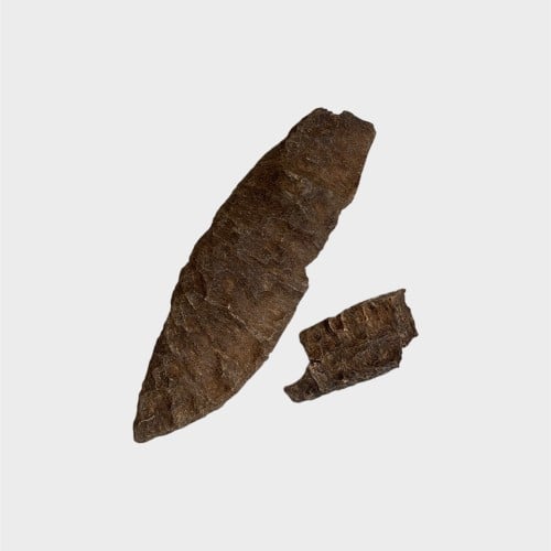 2 توله تشار قاروهيلز سوبر