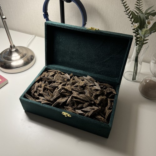 كمبودي تايقر – كيلو فاخر