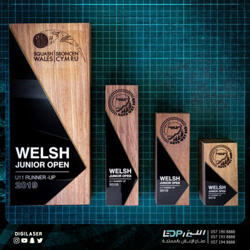 درع تذكاري D24