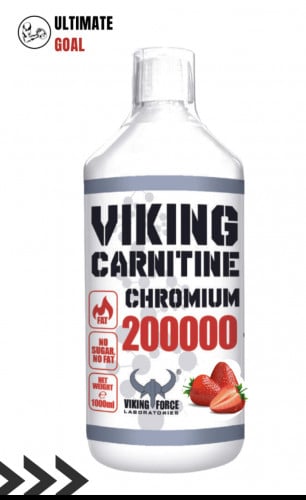 فايكينج ل-كارنتين - شركة Viking Force