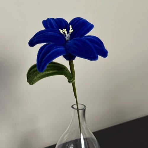 Dark blue lily flower