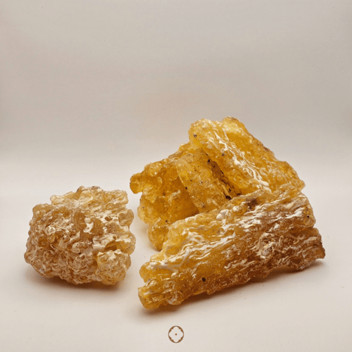 لبان صومالي