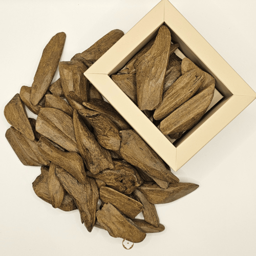 عود مروكي محسّن - كسر مباخر