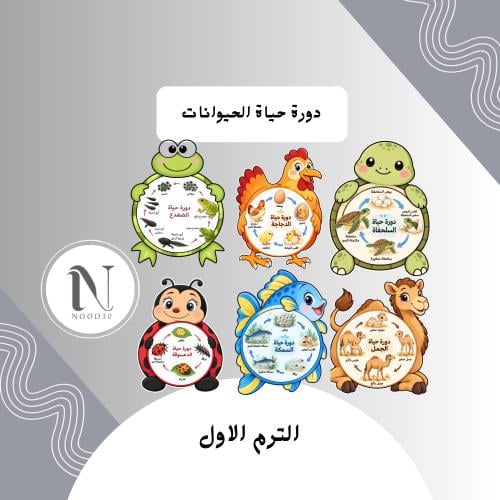 دورة حياة الحيوانات