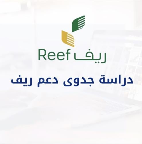 دراسة جدوى دبس التمر (دعم ريف)