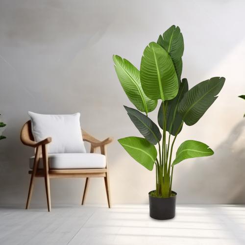 شجر ورق موز صفير بمركن بلاستيك 1.2 متر