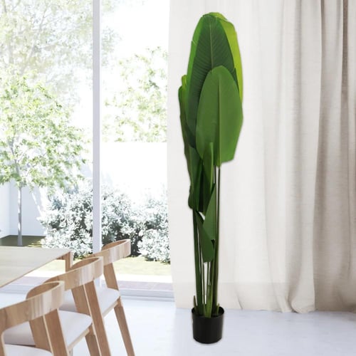 شجر ورق موز صفير بمركن بلاستيك 1.2 متر