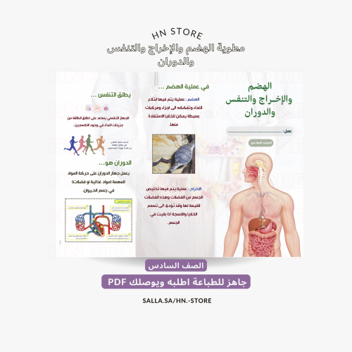 مطوية الهضم والإخراج والتنفس والدوران للصف السادس...