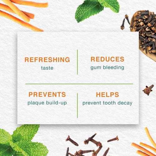 معجون اسنان نعناع من هيملايا | 3 حبات | 125 مل