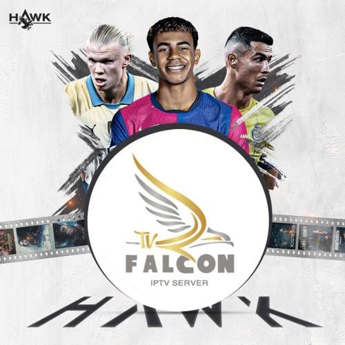 اشتراك فالكون 3 شهور