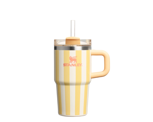 مق STANLEY مخطط حجم 20 oz