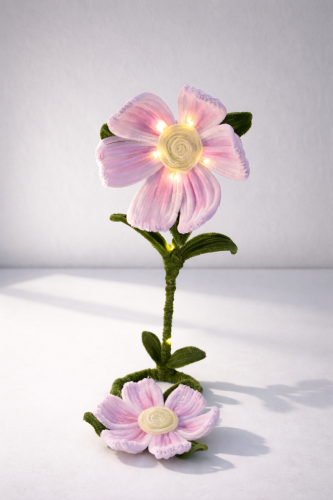 Soft luminous flower