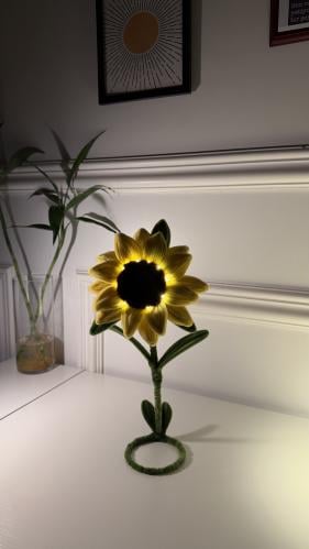 Bright sunflower flower