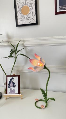 A flower I made the luminous