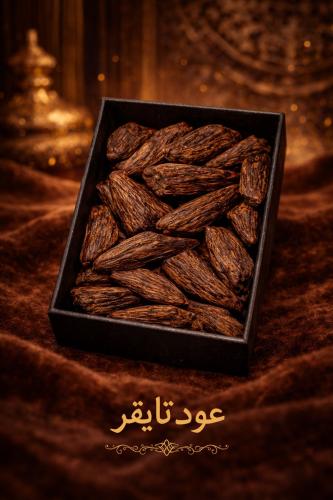 أوقية عود تايقر طبيعي
