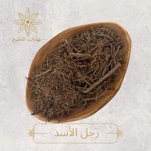 رجل الأسد
