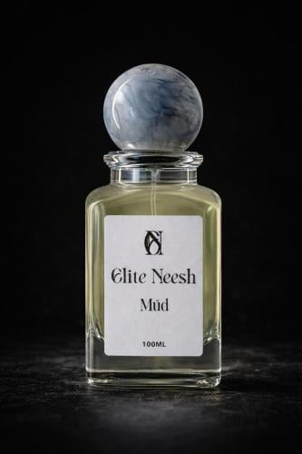 مود Mud