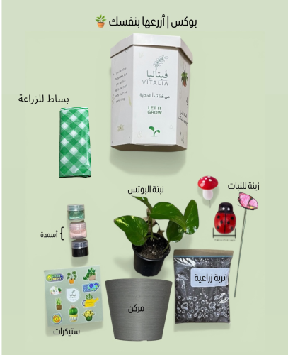 بوكس | ازرعها بنفسك