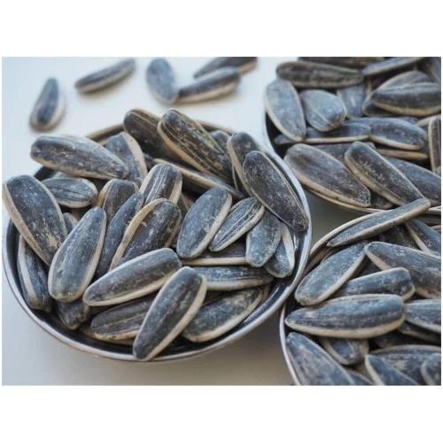 حب شمس ني: 1 كيلو